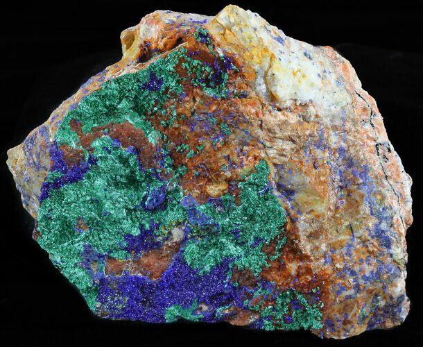 Malachite with Azurite Crystal Specimen - Morocco #60731